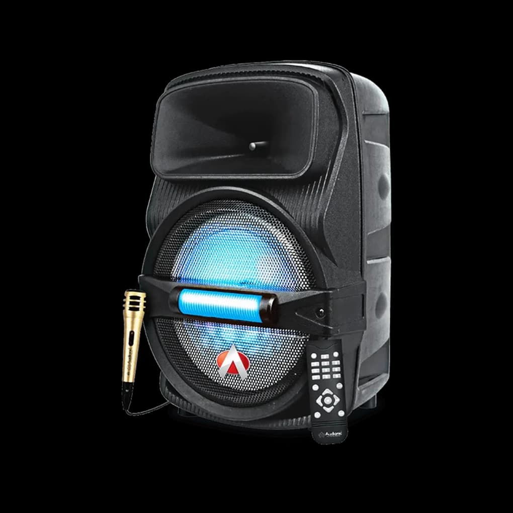 Audionic - Portable Bluetooth Speaker with Karaoke Port - Classic masti 85